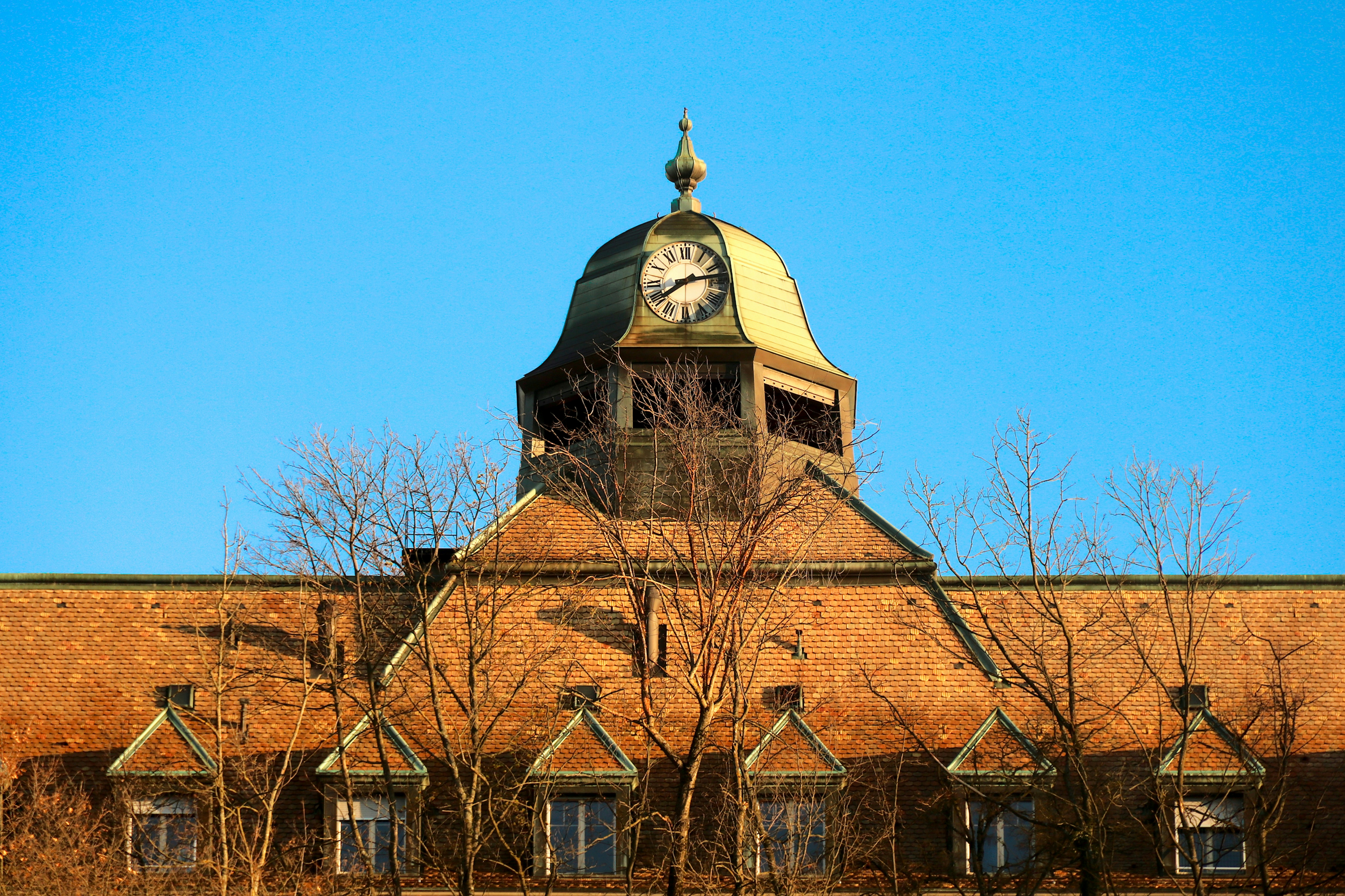 A school building representing the next step after GCSEs in St Albans