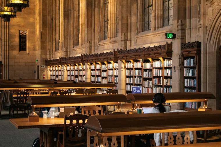 Expert tutors in London